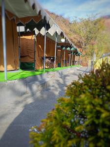 Palki Camps and Resorts