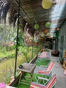 Green Sunshine 2 - Bình Thủy