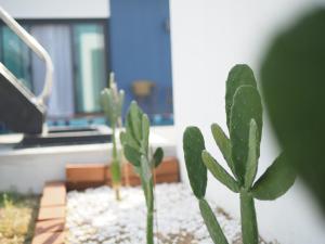 Morning Glory Pool Villa Chaam-Huahin