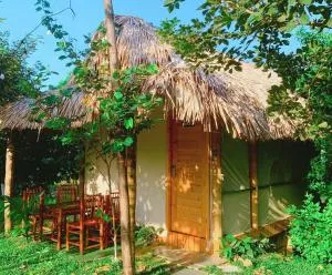 Khu Du Lịch Sinh Thái Ba Vì Eco Camping - Xóm Cầu Rồng