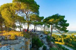 Maisons d'hotes Location Gite en Provence : photos des chambres