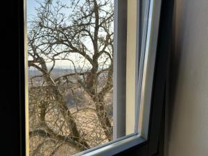 Apartmenthaus Weimarblick - gratis Stellplätze - WLAN - SmartTV - zentral in Weimar