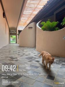 MOONLIGHT Homestay & Hotel