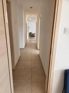 שלווה בגליל - 马阿洛特塔施哈