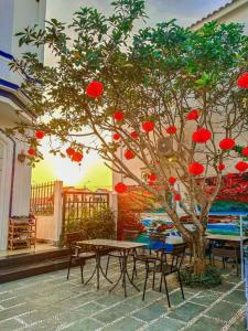 Bao Anh An Bang beach villa