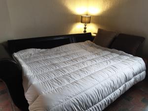 Appartements Le Chaleureux a Auxerre : photos des chambres