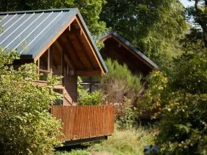 Deerpark Cabins, Cornwall - Forest Holidays - 廷塔杰尔