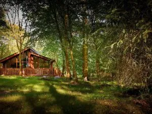 Beddgelert Cabins, Snowdonia - Forest Holidays - Penrhyndeudreath