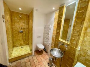 Maisons de vacances Le Moulin Haut Gites : photos des chambres