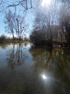 Maisons de vacances Campagne Nature Riviere Le gite du verger : photos des chambres