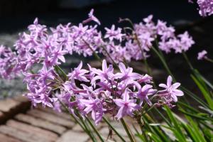 The Hudson Guesthouse & Suites