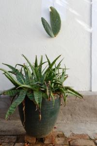 The Hudson Guesthouse & Suites