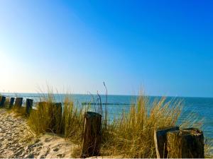 Strand- Chalet First Line - Nordsee -Zealand - Noordzee Holland