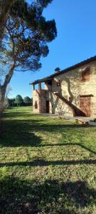 2 girasoli primo piano