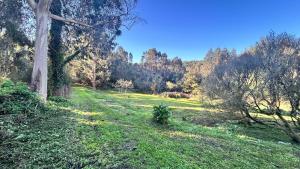 Los Lagares Manor House