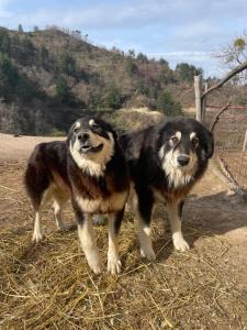 La Locanda Del Poeta