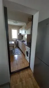 Micu Rebeca - Cărpiniş