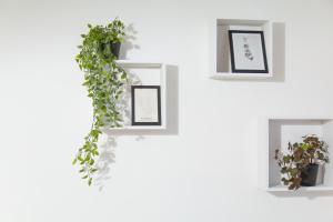 Cozy Retreat by Wenceslas Square