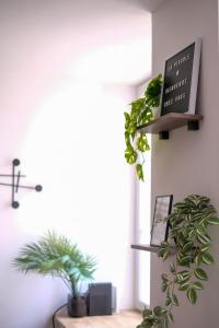 Appartements La Virgule, votre cocon dolois : Appartement 1 Chambre