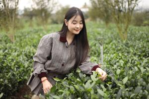 Tiến Yên Farmstay