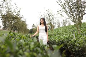 Tiến Yên Farmstay