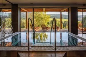 Amenity Hotel & Resort Orlické hory - Hluky
