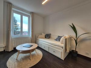 50m2 vue sur le château