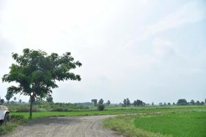 Tarapith Tapabon Eco Resort