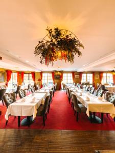 Hotels Les Violettes Hotel & Spa : photos des chambres