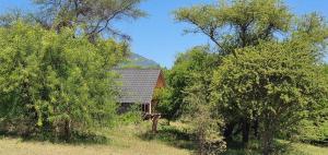 Shamba Pori Lodge