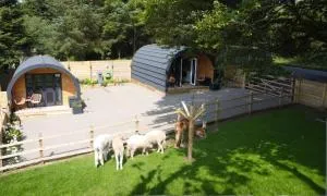little peru luxury pods and alpaca farm - New Dailly