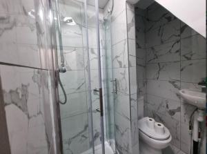 5 Bed House in Gillingham