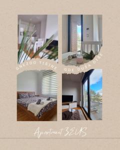 ZEUS Apartment