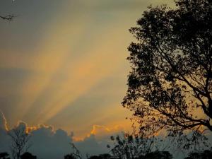 Peacock Eco Resort Sigiriya