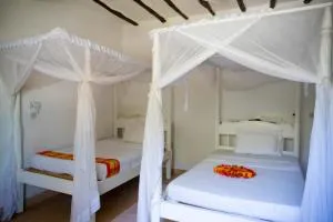 Amorina backpackers watamu - Gede