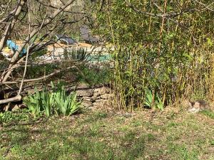 Maisons de vacances Charmante maisonnette independante a Goult en Luberon : photos des chambres