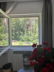 Divčibare kuća Jure