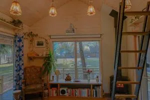 Metai miskeA year in the forest - Viktarinas