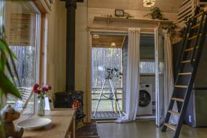 Metai mikeA year in the forest