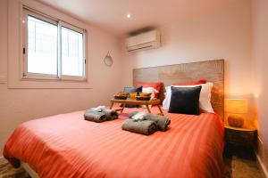 Piscine-Jacuzzi-Vidéoprojecteur-Clim La Perle Rare