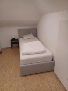 Apartment in a villa