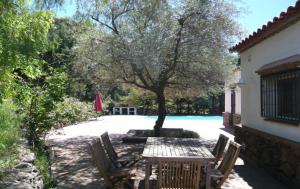 Los Olivos - Ubytování bez kategorie ve městě Sayalonga