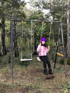 Cabaña en Parcela camino al Conguillío 1