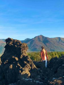 Cabaña en Parcela camino al Conguillío 1