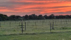 Quaint Oxfordshire cottage on a peaceful farm