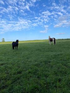 Quaint Oxfordshire cottage on a peaceful farm