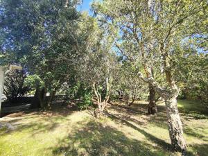 Villa avec jardin clos à Lège-Cap-Ferret, 3 chambres, proche plages - FR-1-736-56