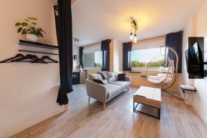 Loriole - Wifi - Ascenseur