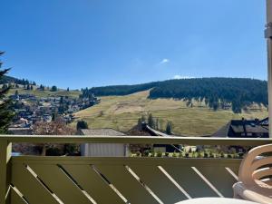 Apartment 05 - Ferienresidenz Roseneck, 2 Schlafzimmer, mit Schwimmbad in Todtnauberg bei Feldberg