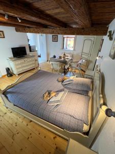 Appartements Gite de la Riviere Enchantee : photos des chambres